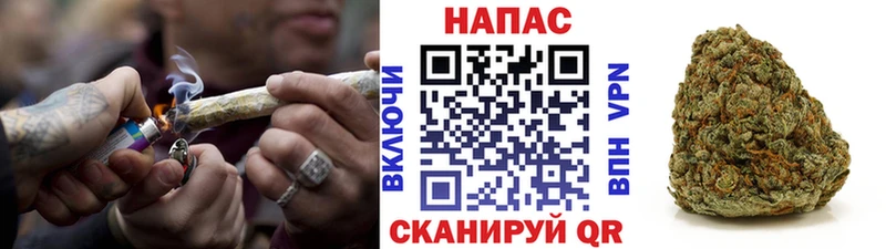 Канабис конопля купить наркотик Багратионовск